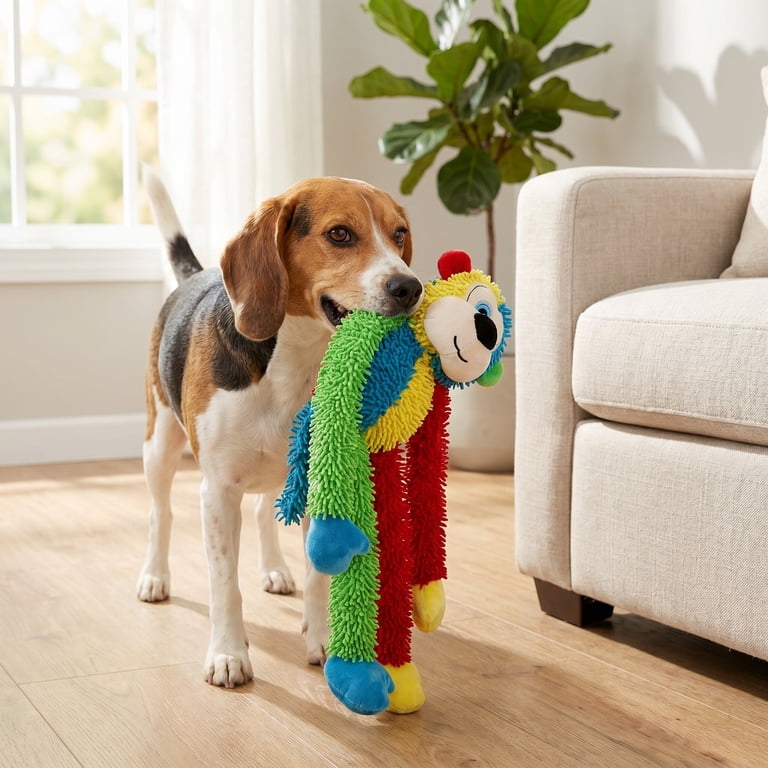 Vibrant Life Multicrew Monkey Plush Dog Toy, 18 inches, with Six