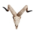 thumbnail image 3 of Skull Sheep Head Wall Sculpture 3D Animal Longhorn Skull Head for Room , D 42x34x16cm, 3 of 8