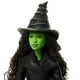 thumbnail image 4 of Muñeca de moda Mattel Universal Pictures Wicked Elphaba, 4 of 8