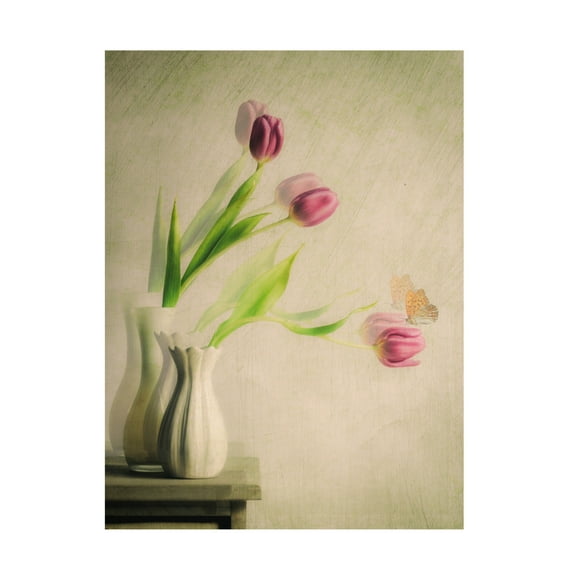 Canvas Wall Art - Cristiano Giani 'Doubts And Certainties' Wall Art for Living Room, Bedroom, or Office Décor by Trademark Fine Art - 14 x 19 Inches