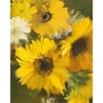 thumbnail image 3 of Loreth, Lanie 12x14 Black Modern Framed Museum Art Print Titled - Bright Yellow Sunflowers, 3 of 5