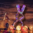 thumbnail image 3 of POINTERTECK 5CMX2M Easter Decoration Bunny Color Bronzing Ribbon String Lights Luminous Decoration Lantern, 3 of 4