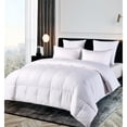 thumbnail image 2 of Hotel Grand Oversized Luxury 500 Thread Count Down Alternative Comforter - Twin, 2 of 5