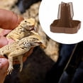 thumbnail image 1 of Caja de alimentación de dragón con barbudo tanque accesorio accesorio accesorio de acuarios bandeja de alimentación plato de comida para trepar gecko Marrón, 1 of 10