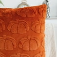 thumbnail image 5 of 1Pcs Caramel Pumpkin Fall Pillow Covers, Soft Plush Autumn Pumpkin Fur Cushion Cases for Couch, Chair, or Sofa Home Decor 15.75x15.75 Inch, 5 of 6
