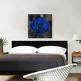 thumbnail image 2 of ARTCANVAS Navy Blue Rose Flower In Garden Canvas Art Print - Size: 26" x 26" (0.75" Deep), 2 of 9