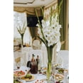 thumbnail image 2 of 4E's Novelty 16" Cylinder Glass Vase – Elegant Clear Glass Vase for Flowers, Candles & Decor, 2 of 6