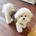 thumbnail image 2 of HQREA Dog Sling Tank Top with Tulle Skirt Colorful Striped Pet T-Shirt Puppy Summer Clothes, 2 of 5