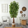 thumbnail image 4 of Nearly Natural 7.5ft. Artificial Deluxe Ficus Tree with Handmade Jute & Cotton Basket, Green, 4 of 4