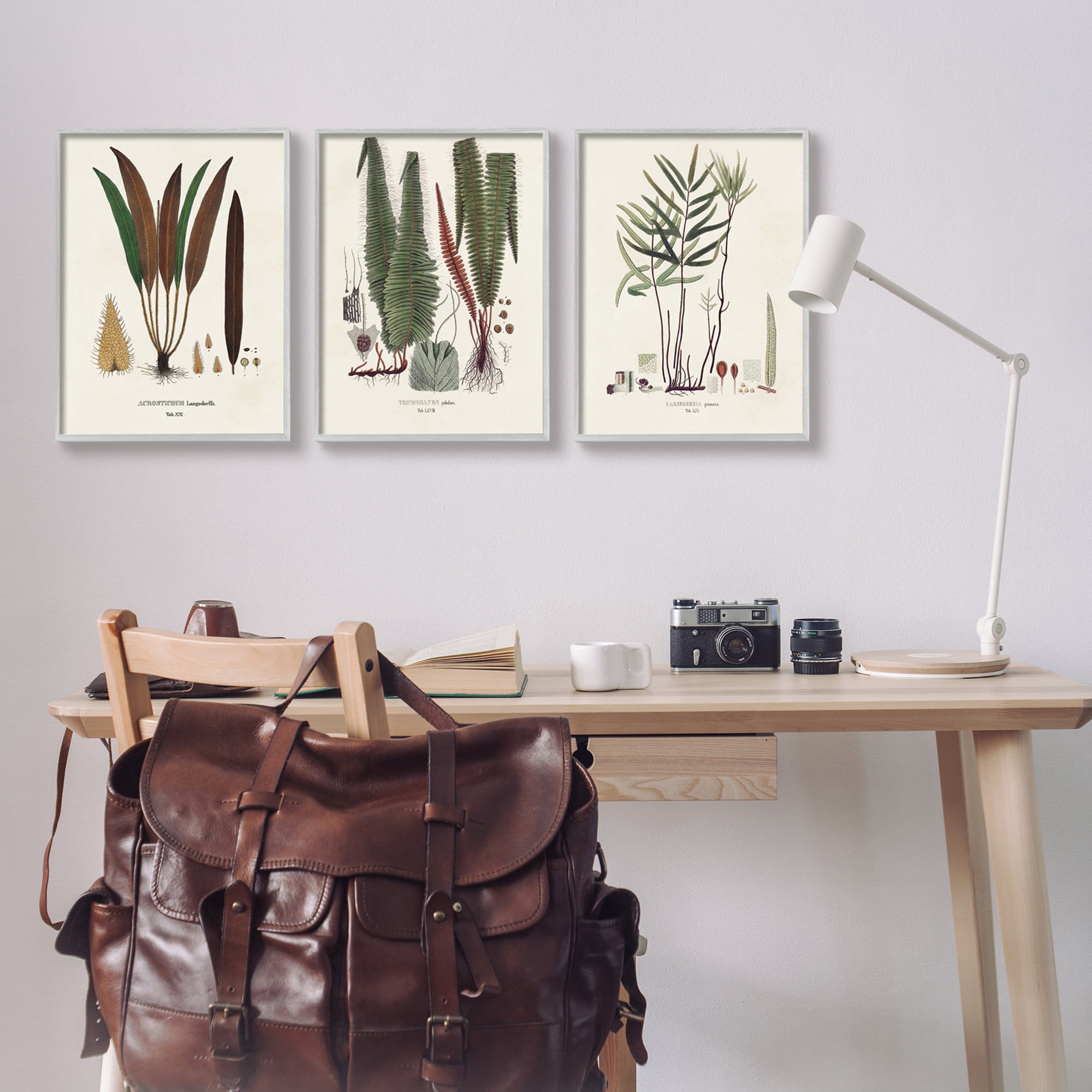 Stupell Industries Vintage Botanical Studies Botanical & Floral Painting Gray Framed Art Print Wall Art, 16 x 20