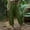 Army Green, variant on Women's Elastic Waist Drawstring Textured Balloon Pants, Breathable Comfort Straight Leg Trousers for Daily Wear & Fashion Looks Pink M