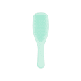 thumbnail image 1 of Tangle Teezer The Ultimate Wet Detangler Regular Jade Lagoon Mint Hair Brush, 1 of 2