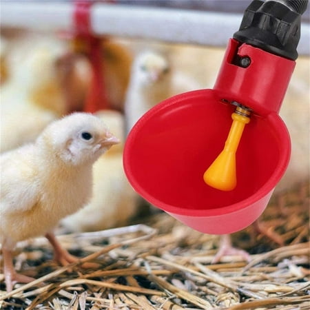 

Household Poultry/Quail Water Drinking Cups Chicken Hen Plastic Automatic Drinker New