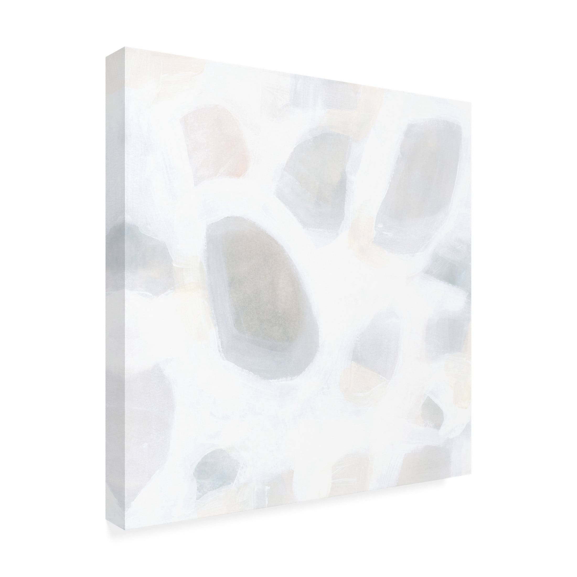 Trademark Fine Art June Erica Vess  Snow Pebble II Canvas Wall Art