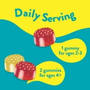 Lil Critters Kids Omega-3 Gummy Vitamins with 3 fatty acids, DHA, EPA & ALA, Citrus Flavors, 120 ct