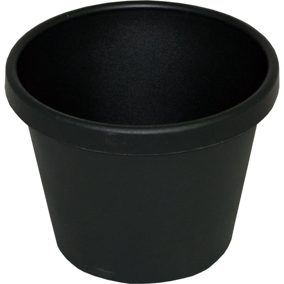 Hcc Retail-Classic Pot- Evergreen 6 Inch