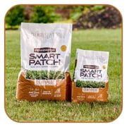 Pennington Smart Patch Centipede Seed Mix 5 lb