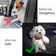 thumbnail image 4 of Cinturón de nailon para perro, arnés universal ajustable para coche para perros y gatos con amortiguación, correa 2 en 1, cinturón de seguridad duradero para mascotas para viajes (negro), 4 of 5