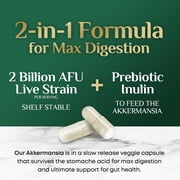 Akkermansia Gut Health Supplement - Premium Akkermansia Probiotic With Prebiotic Fiber - Akkermansia Muciniphila 2 Billion AFU Per Serving - GLP-1 Support for Women & Men, Bottled USA - 120 Capsules
