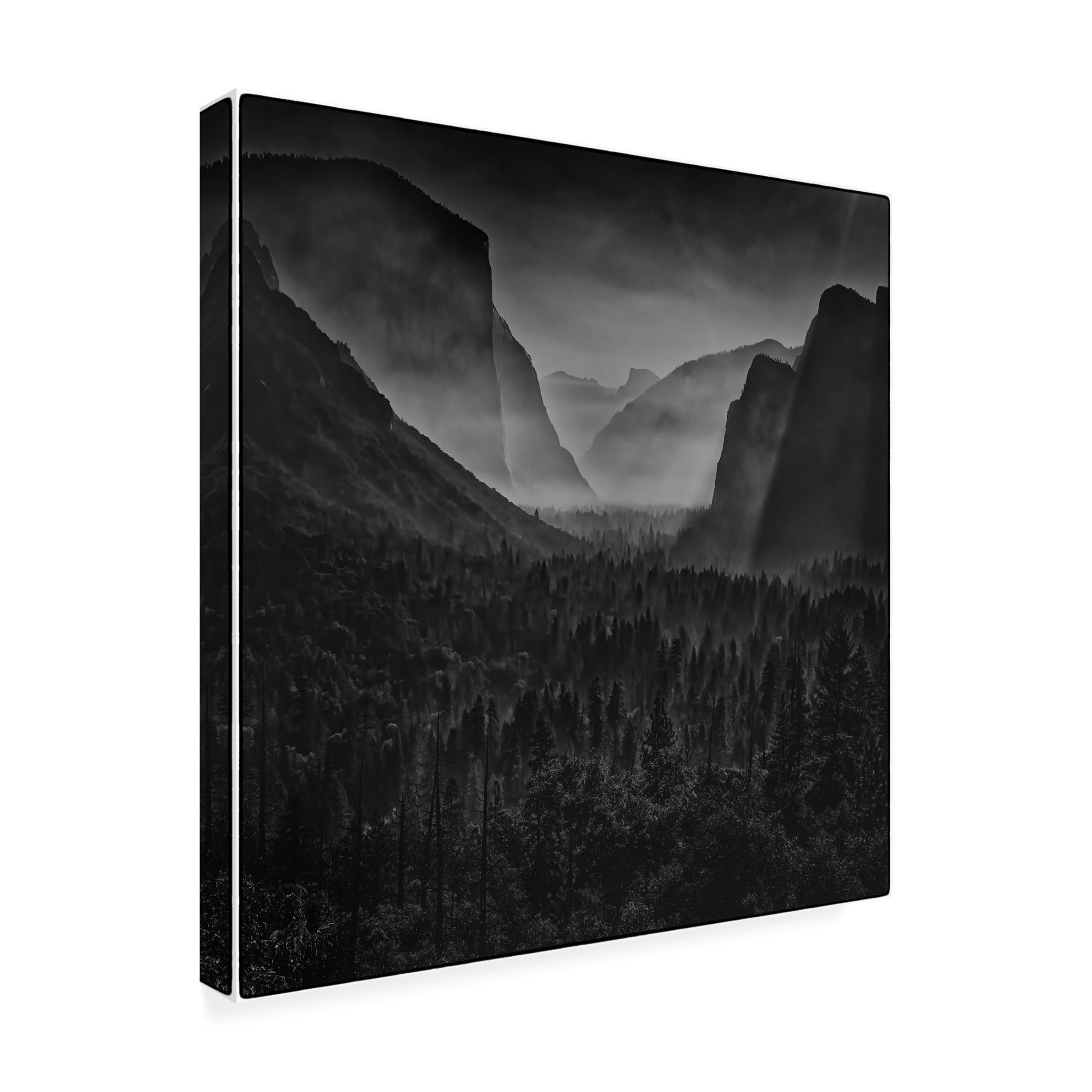 Trademark Fine Art Ning Lin Tunnel View Canvas Wall Art
