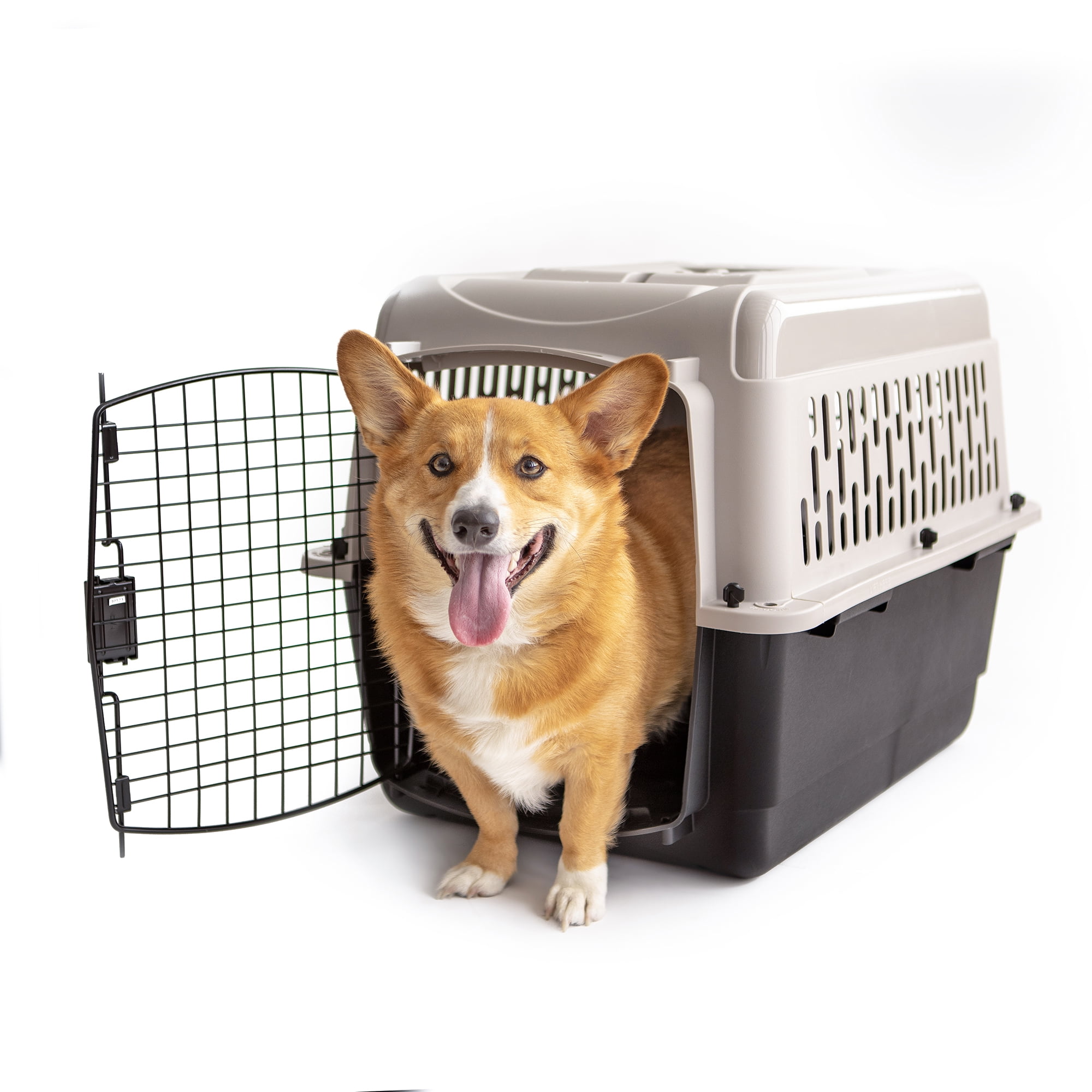 Vibrant life top dog crate instructions