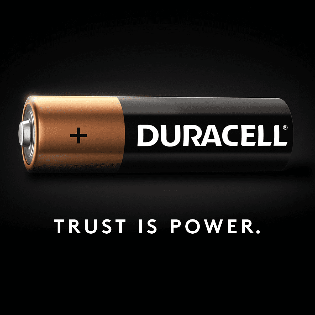 Duracell Ion Speed 4000 Battery Charger w/ Rechargeable AA and AAA