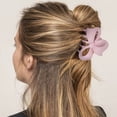 thumbnail image 2 of WIFKLSIIPG Pince à Cheveux Nœud Papillon pour Femmes Pince Simple Givrée Accessoires pour Cheveux, 2 of 4
