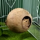 thumbnail image 2 of GOOHOCHY POPETPOP - Nido de pájaro de cáscara de coco para mascotas, nido de cría para hámster, ardilla, artesanías, delicado colgante de casa de pájaros para jardín, 2 of 7