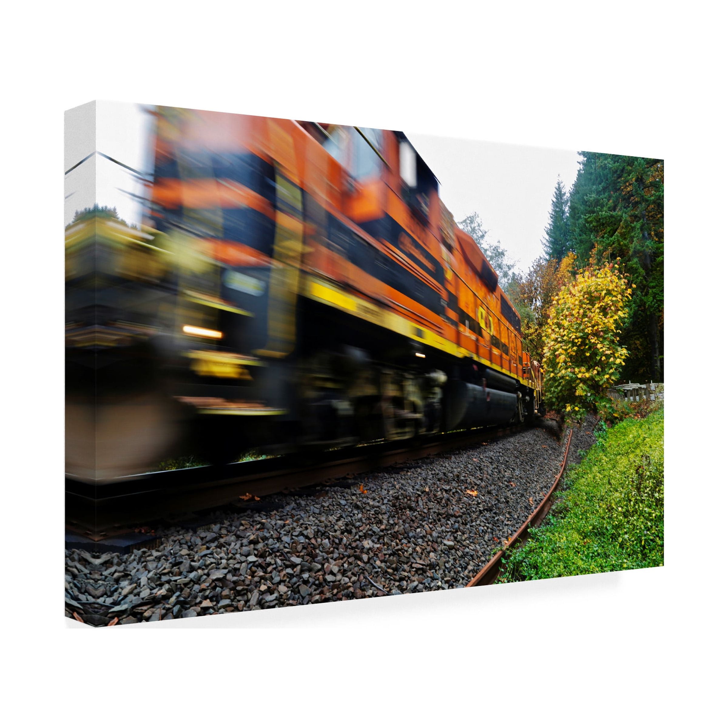 Susan Vizvary Photography 'Missed the Train' Canvas Art
