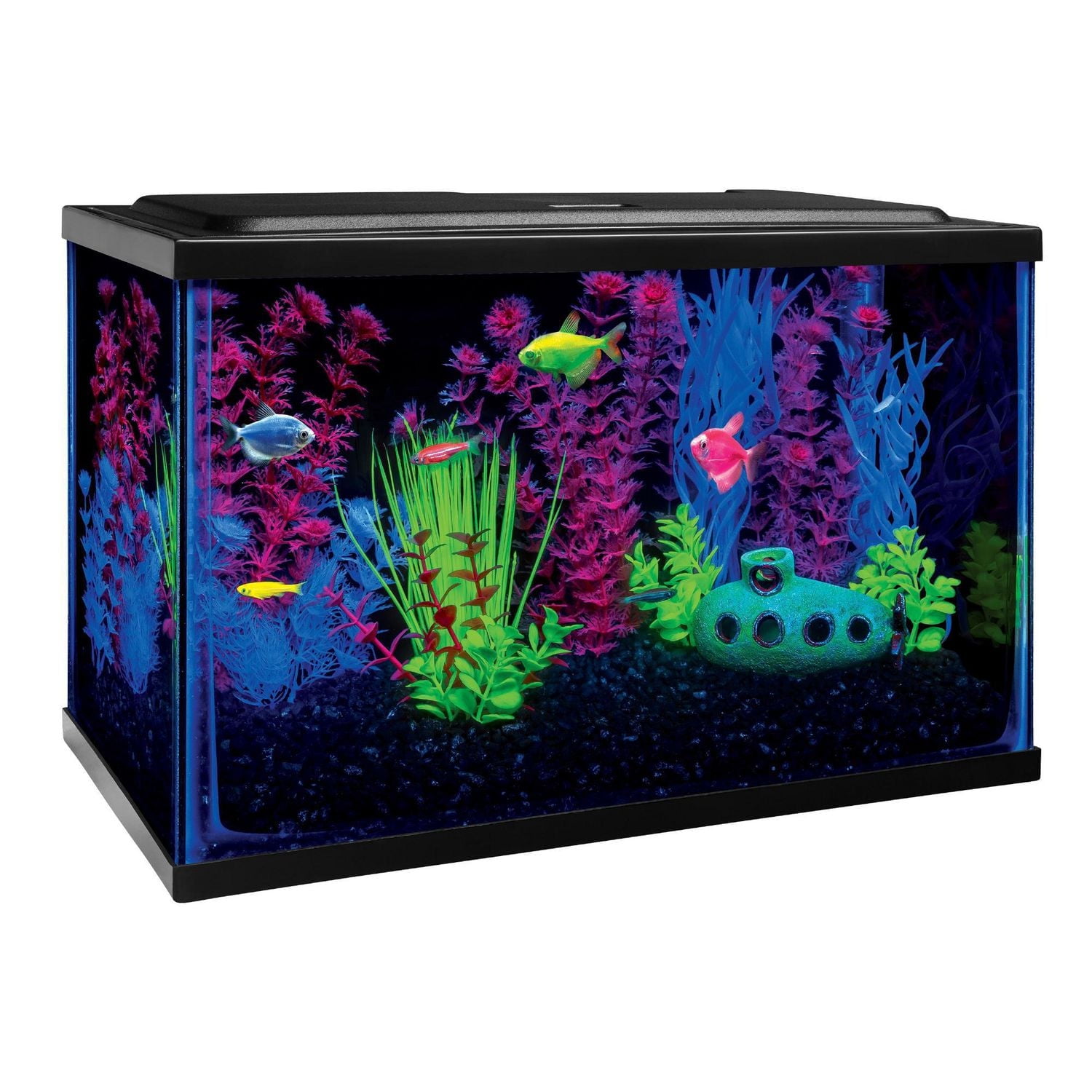 GloFish Kit d'aquarium parfait pour débutant 5 gallons