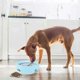 thumbnail image 3 of Automatic Dog Food Dispenser Pet Educational Toys Anti-bite Bowl Detachable Feeder Bowl Blue, 3 of 5