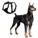 thumbnail image 1 of Arnés para perros Chaleco ligero de malla ajustable reflectante para perros pequeños, medianos y gr Abanopi Cuerda de tracción, 1 of 7