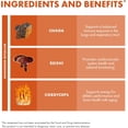 thumbnail image 3 of Host Defense Mushrooms Breathe 60 Ct Sabor Sin Sabor, 3 of 4