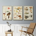 thumbnail image 5 of Mushroom Species X - Framed Premium Gallery Wrapped Canvas L Frame 3 Piece Set - Ready to Hang, 5 of 9