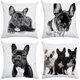 thumbnail image 1 of Funda de cojín decorativa con estampado de animales divertidos, cojín cuadrado para sofá o silla con forma de bulldog de 45 x 45 cm, 1 of 5