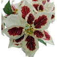 thumbnail image 2 of Admired by Nature GPB6858-PEPPERMINT 5 Stems Artificial Poinsettia Christmas Bush, Peppermint, 2 of 2