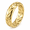 Gold, variant on Unisex Wheat Ring in Stainless Steel, 6mm Band with Overlapping Grain Relief, US Sizes 7-11, Botanical Style for Knitwear and Gifts for Nature Enthusiasts