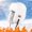 White, variant on Hauaitttt Fashion Women Men Sport Style Solid Keep Warm Winter Outdoor Cycling Windproof Ear Hats Hat for Men Winter Hat Holder Car Hats for Winter Men MenHats Winter Scuttle Hat Frock Plaid Hats