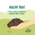 thumbnail image 6 of Manna Pro Farmhouse Favorites Chicken Treats - Double Bug Mix - 1 Bag - 2lb, 6 of 8