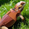 thumbnail image 4 of 3 Sizes Bearded Dragon Harnesses and Leash Set, Adjustable Soft Leather Lizard Leash Harness Small Animal Walking Vest with Traction Rope for Small Reptiles Squirrel Rat Bearded Dragon Lizard, 4 of 8