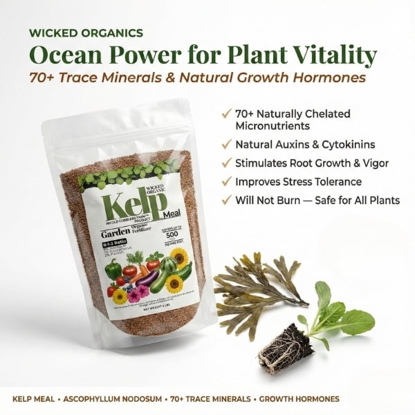 Old Cobblers Farm™ Wicked Organics Kelp Meal – Ocean-Based Soil Conditioner for Root Growth, Plant Resilience & Soil Health (5 lbs | 10 lbs | 15 lbs | 20 lbs)(5lbs)