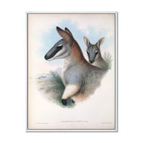 Designart 'Ancient Kangaroo' Farmhouse Framed Canvas Wall Art Print