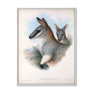 Designart 'Ancient Kangaroo' Farmhouse Framed Canvas Wall Art Print
