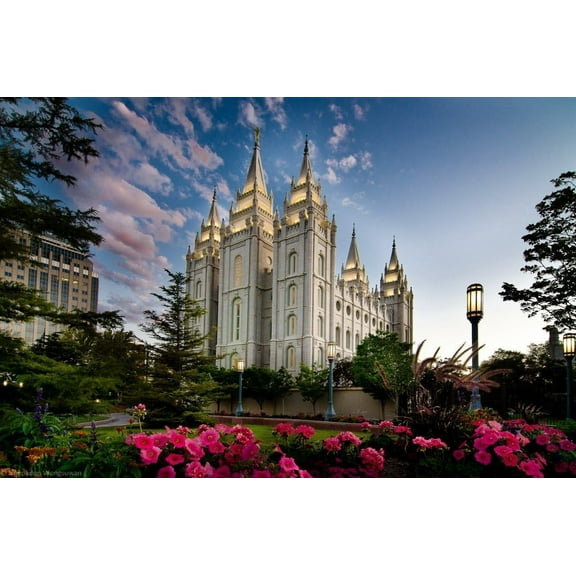wooden puzzle Majestic Cathedral with Gardens Intelligent Game Fit togather a magic Art for home Decoration or Prensent 300 pieces