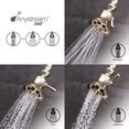 thumbnail image 5 of Speakman S-2254-PB Showerhead, 2.5 GPM, Polished Brass, 5 of 5