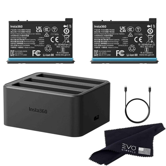 Insta360 Batterie X4 (2290mAh) & Hub de Charge Rapide Ensemble/uniquement Caméra X4 360 (2 Batteries+1 Chargeur)