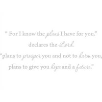 Silver 31" x 13" Silver 31" x 13" "For I know the plans i have for you," declares the Lord..... Vinyl Wall Art Home Decor Decal Sticker