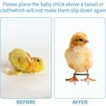 thumbnail image 4 of 100PCS Baby Chicken Splay Leg Hobble Brace Adjustable Poultry Leg Bands for Newborn Spraddle Leg Chick Bird Quails Ducks, 4 of 6