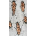 thumbnail image 2 of Willett, Michael 9x14 Black Ornate Wood Framed with Double Matting Museum Art Print Titled - Static Conductor II, 2 of 4