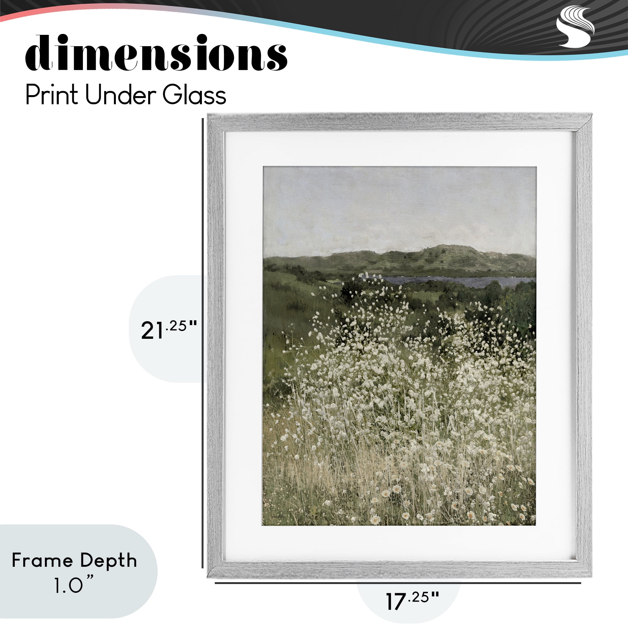 Stupell Industries Sunlit Meadow of White Daisies Gray Framed Print Under Glass, design by Amber Sterling